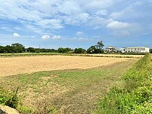 (專任)觀音大福路農地