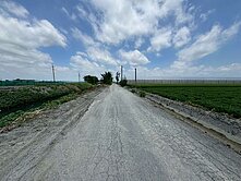 崙背臨路2.59分漂亮農地