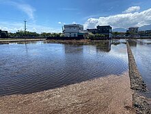 投資必買*近冬山河親水公園小農地
