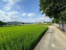 水湳經貿中科農地(都計內)