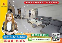 精選物件-藝文輕豪宅 合雄帝璽4房車