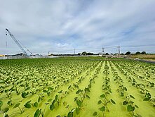 屏東縣高樹鄉屏8線道一般農業用地~有水有電