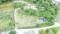 ✨大樹龍目社區✨有水有電✨農地