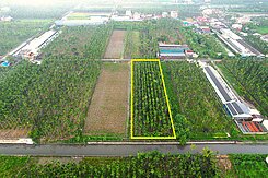 近美和科大、內埔工業區|臨路.有電.地形方正農地