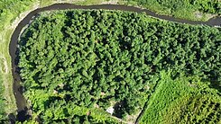 燕巢區義大醫院旁都內農⭐近國十燕巢批發果菜市場旁