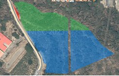 左鎮區岡子林段大自然原始林農地