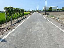 埔鹽永新路旁方正美田