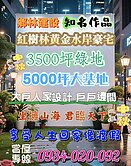 淡水紅樹林鄉林山海匯坐擁青山綠意極致美宅-山匯