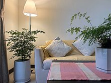 🎄林口地段安全感滿分<玄泰A+>健康生活近在咫尺