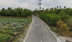 屏東市區稀有農地(8.9分)