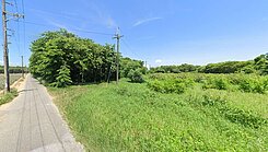 歸仁沙崙農場.南科四期.特定專用區農地1