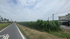 屏東雙面路農地2.6分A