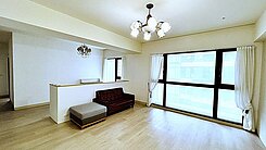 關埔【夢想市】夢幻大3+1房+平車