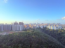 A7【富宇上城】永久森林景觀三房車