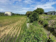 后里泰安段8分大農地，有水有電資材室