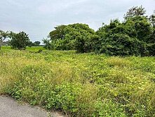 台南市後壁區鄰新東國小投資及自用農地