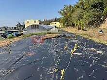 頭份山下優質美農地	