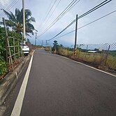 大樹三和近省29線2.44分農地