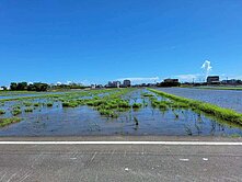 永慶阿娥~正中道中學旁邊千坪大面寬農地