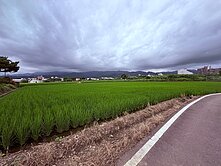 苗栗公館前後有路有電760坪美農地