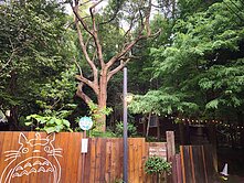 沙鹿臨路山海景觀農地