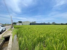 新屋景碩石磊廠旁方正農地