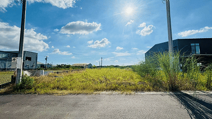 玉山路休閒小農地