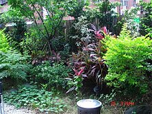 🏠湖之蒂花園華廈 稀有花園宅🏠