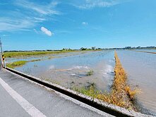 礁溪近國五交流道大面寬559坪農地~麟麟