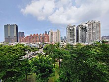 亞洲新灣區︱公園樹海第一排︱太普D&G三房平車
