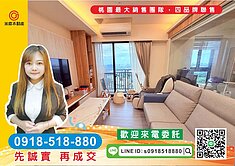 精選物件-龍潭月光樺樺景觀2+1房車