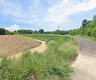 君君精選💎專-關廟86南雄1.4分鳳梨農地