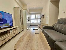 神采採光明廳美三房車