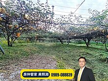 后里馬場旁｜28米x66米農地｜有水電可請資材室