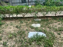 近楊梅交流道!1樓邊間3房車位{另購}