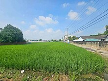 獨家專賣！夏田園區老宅乙種建築用地