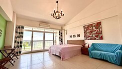 美濃市中心//臨路大面寬田園雙車墅