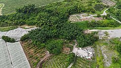 燕巢-綠意盎然2.6分農地.開心農場47572