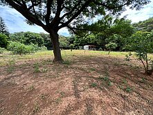 110楊梅體育園區都內田+資材室