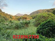 ❤️義方國小大馬路旁土地~洽0228967788