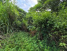 草屯農地＋丙建｜單坪僅2.3萬，稀有投資好地段