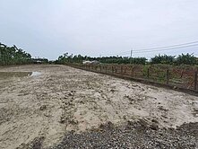 屏東里港大港洋段臨路方正農地