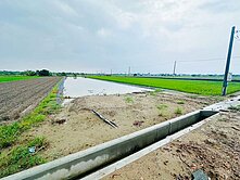 鹿草後塘國小農地