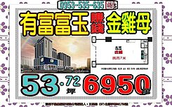 金城路二段✎有富富玉金店面✐土城重劃區✐雙捷運