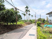 鐮村方正搭架農地