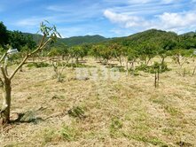 大武鄉太湖路面寬平坦農地