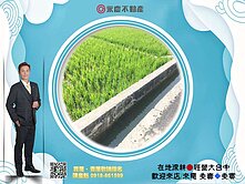 ⚡KK在地通⚡台中大肚溪州大面寬農地(農保首選)