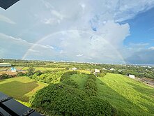 大園客運景觀2+1房【雙衛平車】