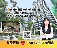 ✅超值美術白天鵝🦢輕屋齡.兩房平車✅