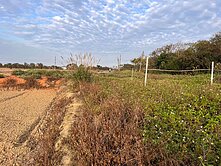 123新屋近66漂亮田+建